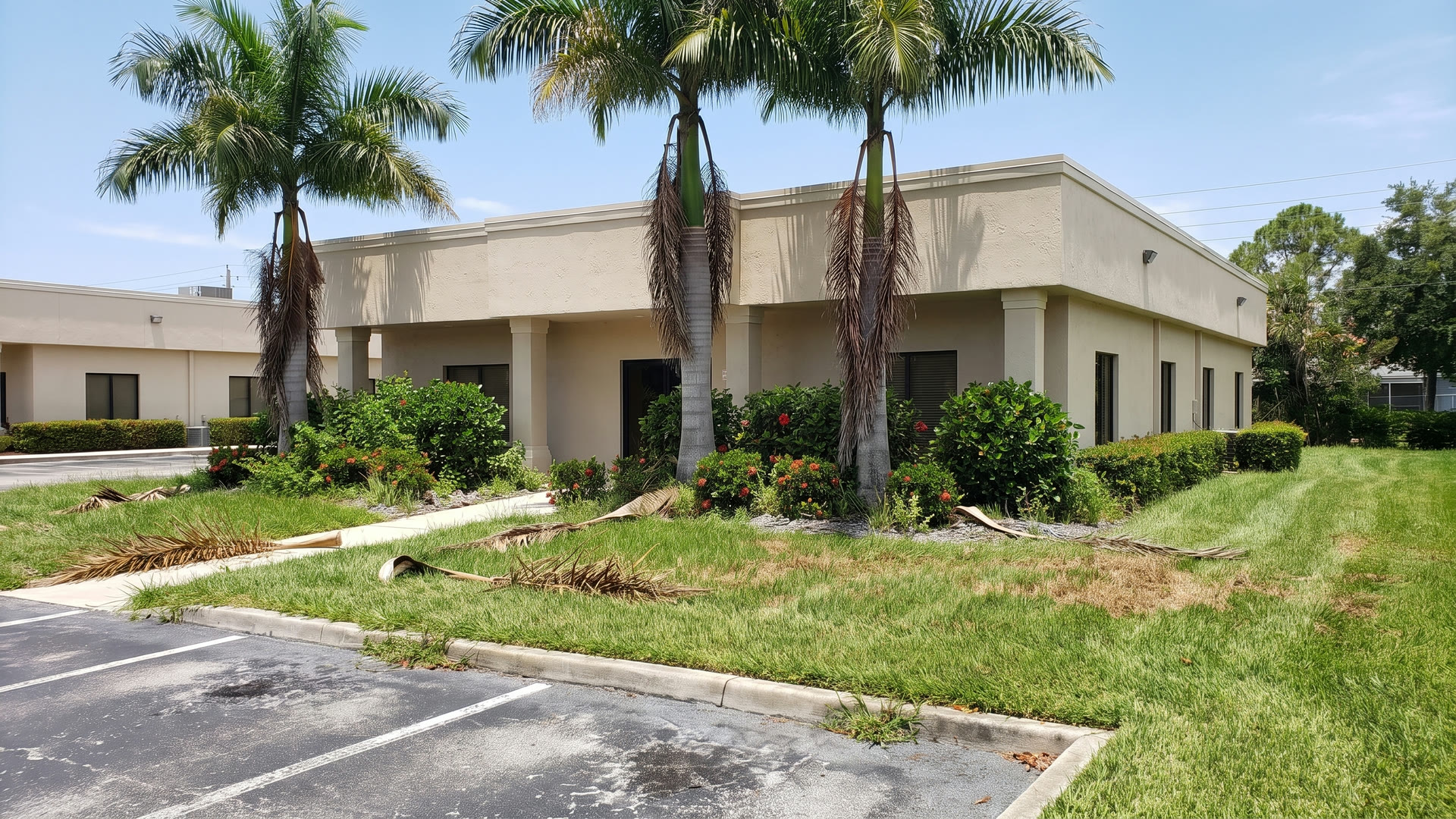 Property before ManageMowed service
